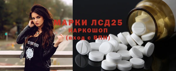 соль ск Зеленодольск
