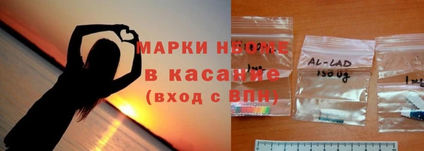 сатива Зерноград