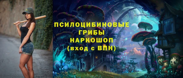 сатива Зерноград