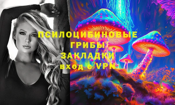 сатива Зерноград