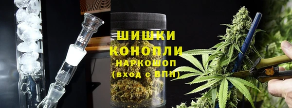 сатива Зерноград
