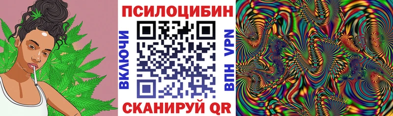 Купить  Зеленодольск  Псилоцибиновые грибы прущие грибы 